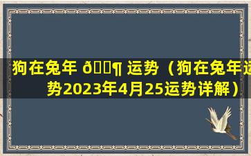 狗在兔年 🐶 运势（狗在兔年运势2023年4月25运势详解）